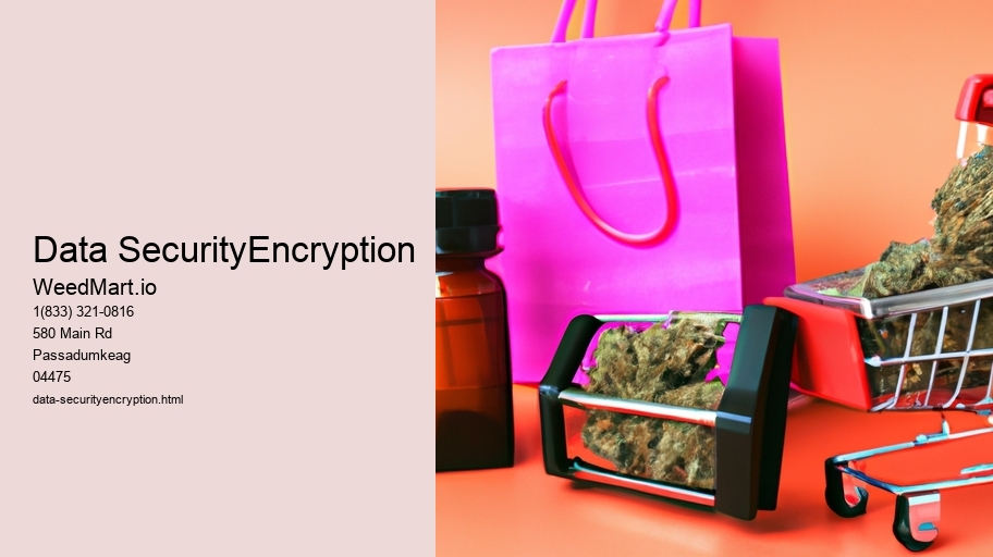 Data SecurityEncryption